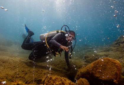 Plongée à la Dominique