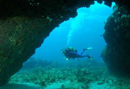 Plongée aux Saintes