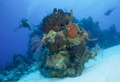 Plongée à Providenciales