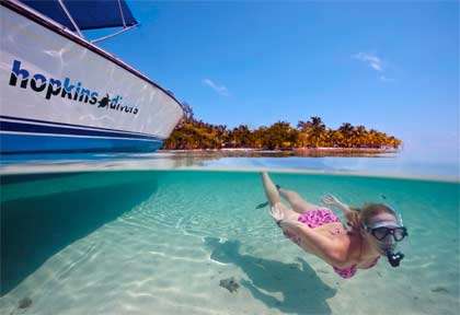 Snorkeling à Hopkins