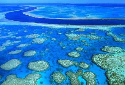 Les récifs du Belize