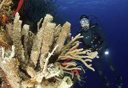 Plongée Belize © Sun Dancer II - Mike Tougas