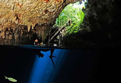 Plongée Cenotes à Playa Del Carmen Yucatan