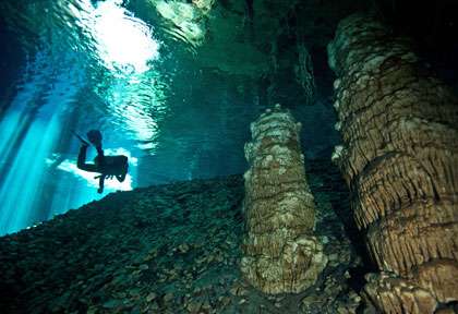 Plongée Cenotes à Playa Del Carmen Yucatan