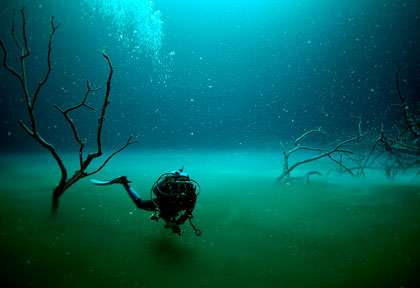 Plongée Cenotes à Playa Del Carmen Yucatan