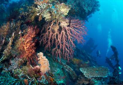 Epave du Uss Liberty