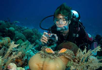 Plpongée à Ambon dans les Moluques