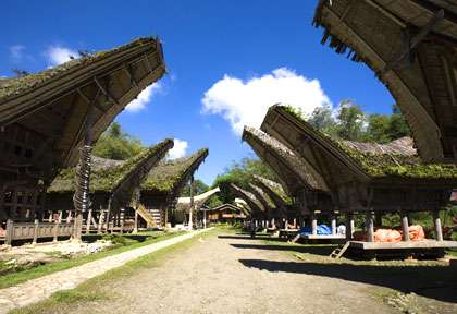 maison toraja © Erik de Graaf - Fotolia
