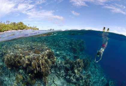 Plongée en Indonésie dans les Tongian