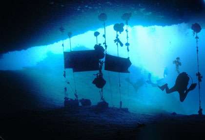 Grotte aux Tortues de Sipadan