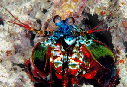 Voyage plongée à Lankayan