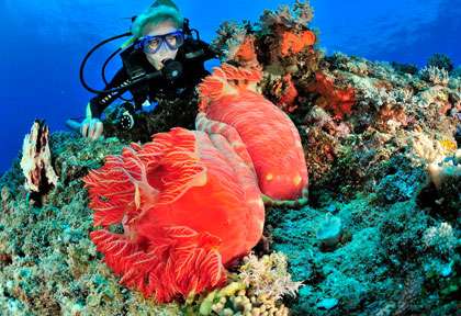 Voyage plongée à Nosy Be
