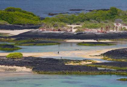 Littoral des Galapagos