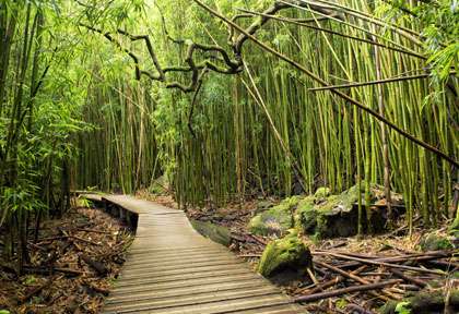 Parc national Haleakala - Maui - Hawaii © Shutterstock - Alex GK Lee