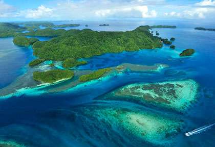 Plongée à Palau en Micronésie