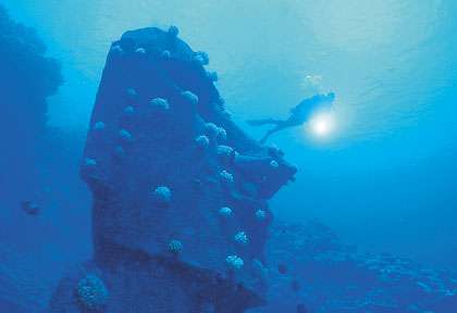 Le moai immergé de l'ile de paques