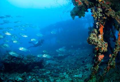 épave en plongée à Palau