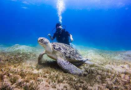 Plongée à Marsa Alam