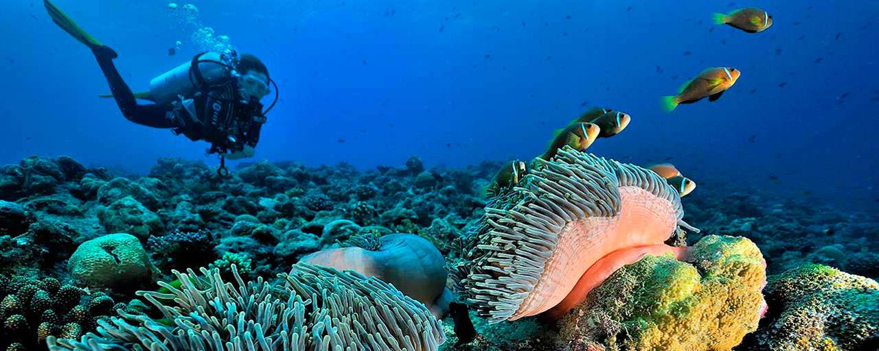 Maldives Pascal Kobeh