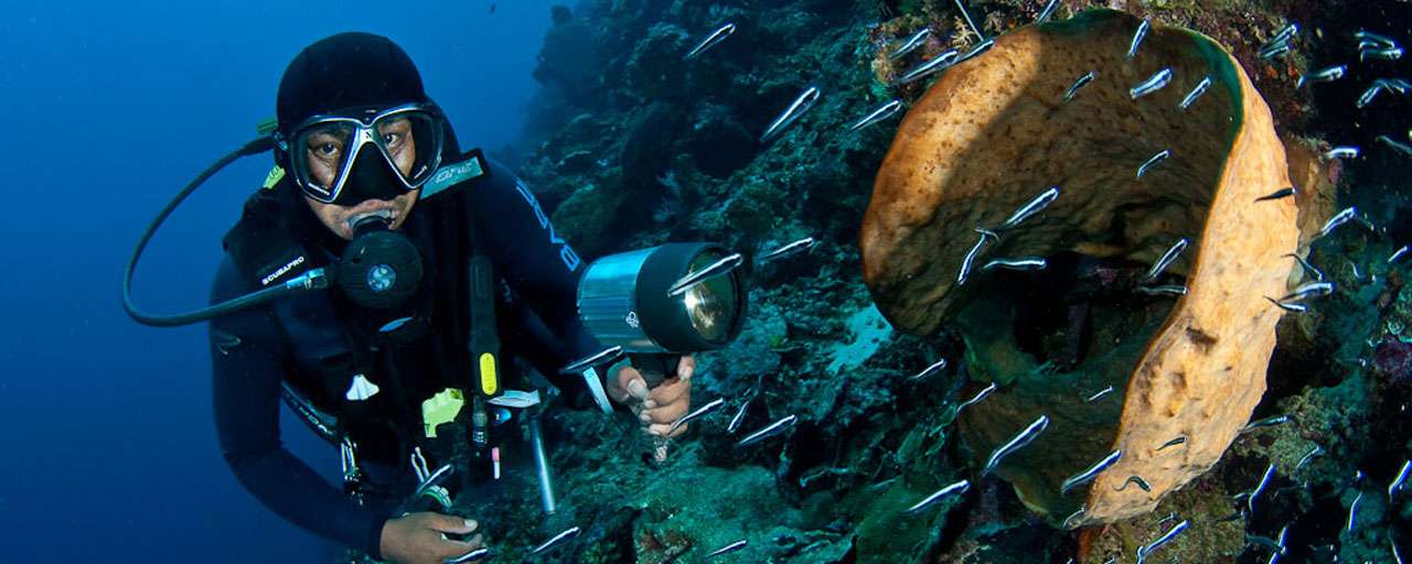 Gangga Island © Gangga Divers - Ruddy Withworth