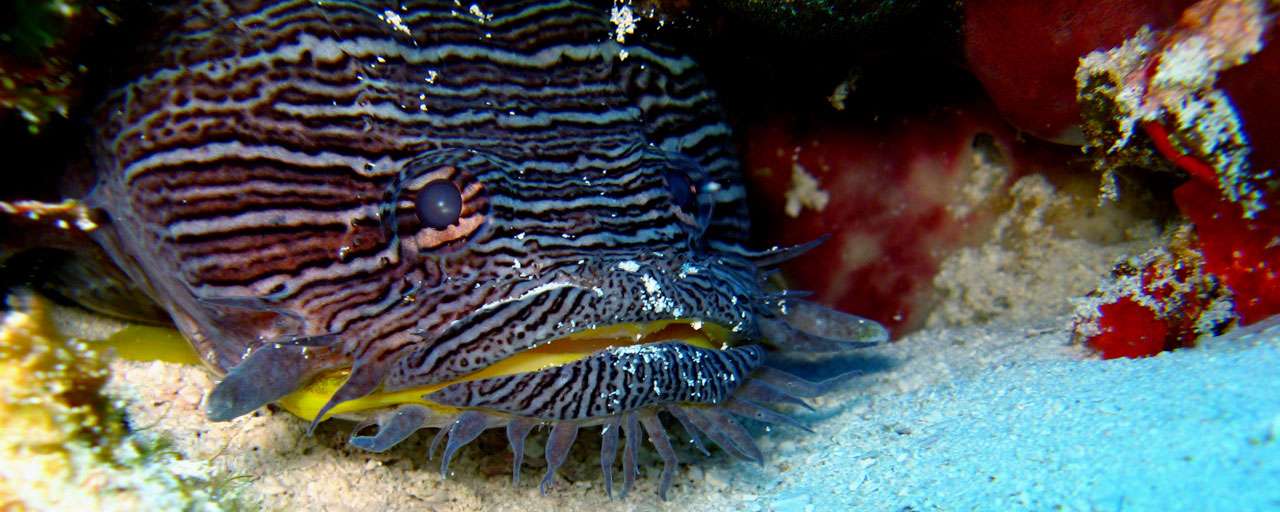 Cozumel - Mexique © Blue Note
