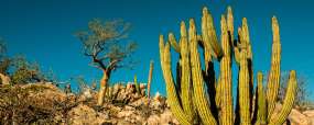 Baja California © Shutterstock - Leonardo Gonzalez