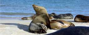 Galapagos © Quasar Nautica