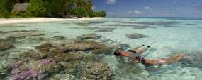 Tuamotu
Polynésie